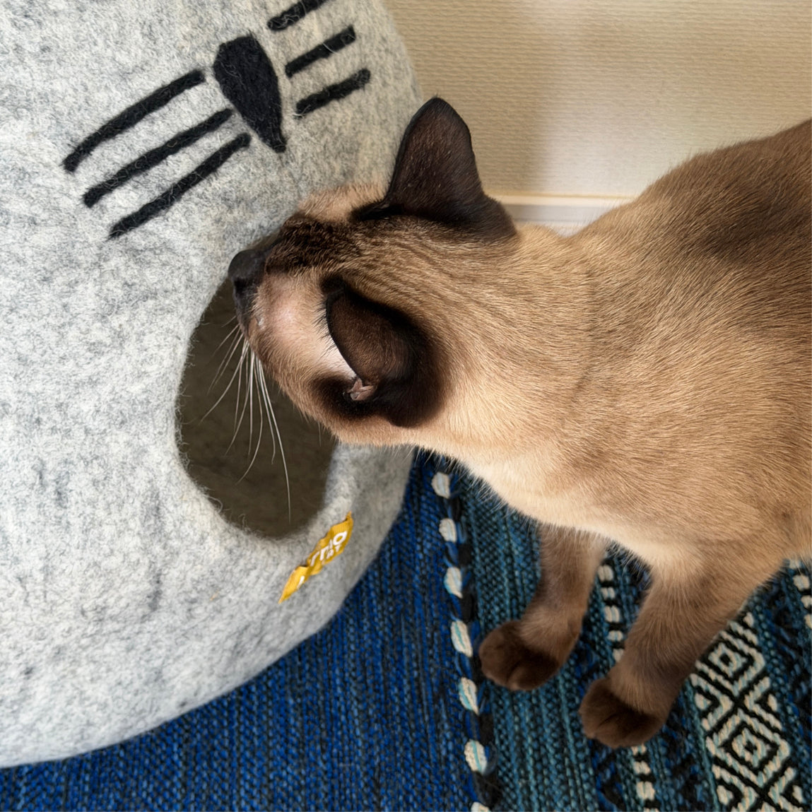のんびりネズミのウーリーちぐら