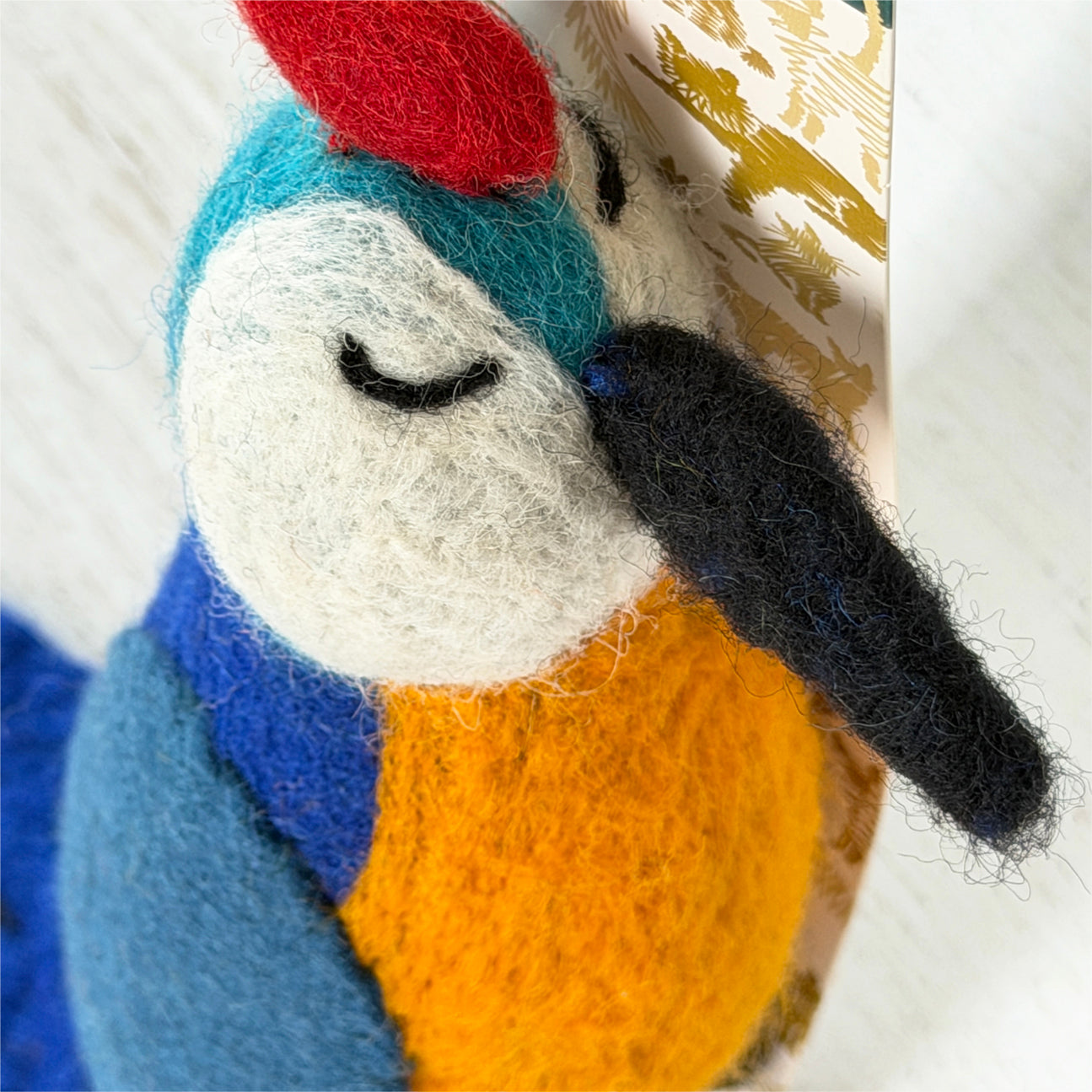 《New》青いオウムのけりけり