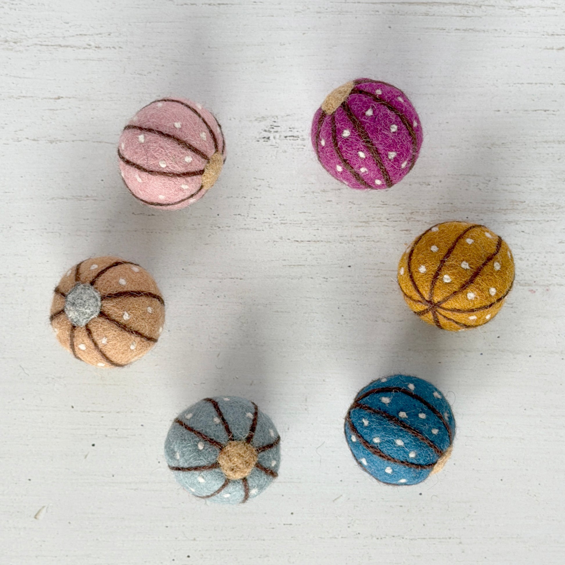 ふじつぼ（カラーはお任せ）