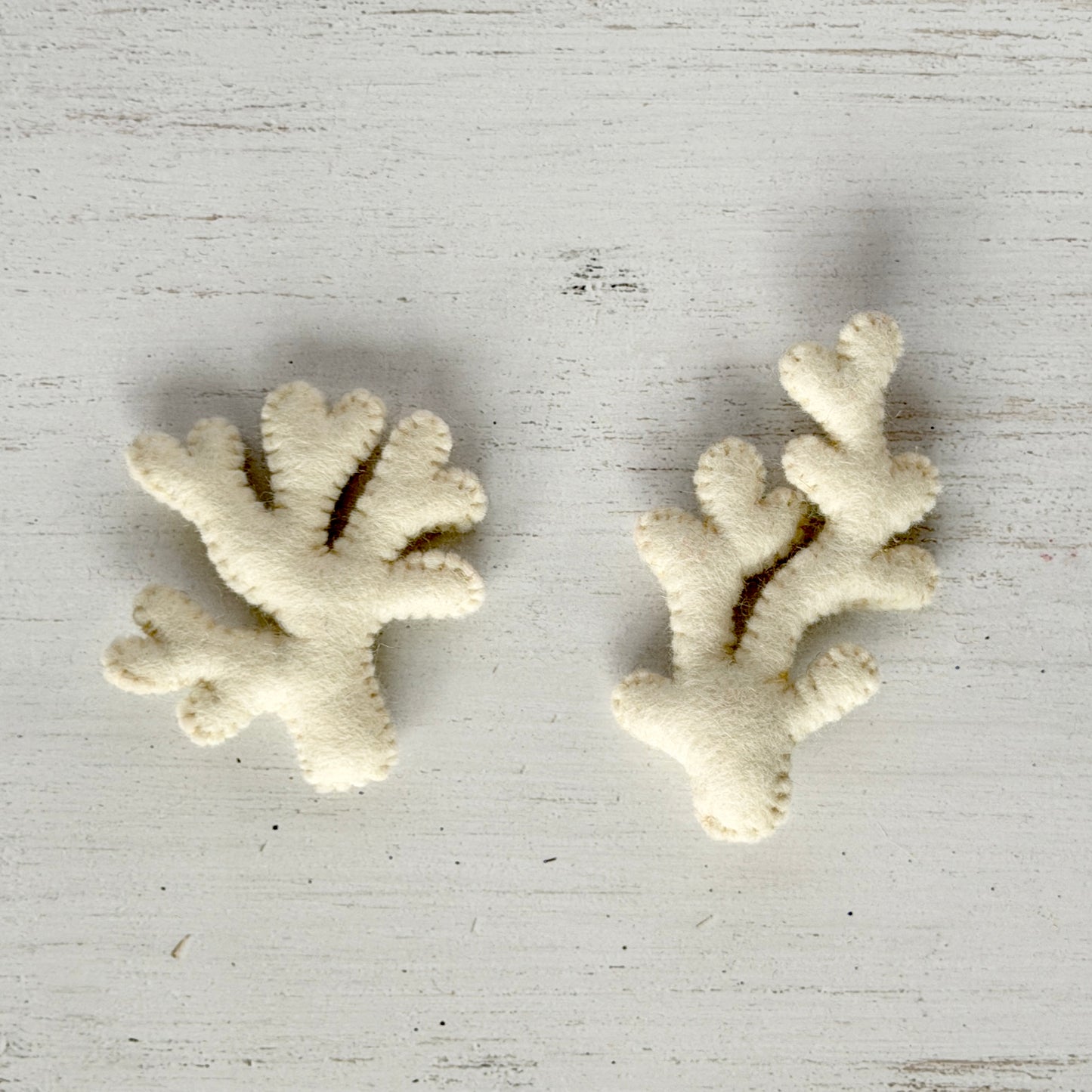 サンゴ（形はお任せ）