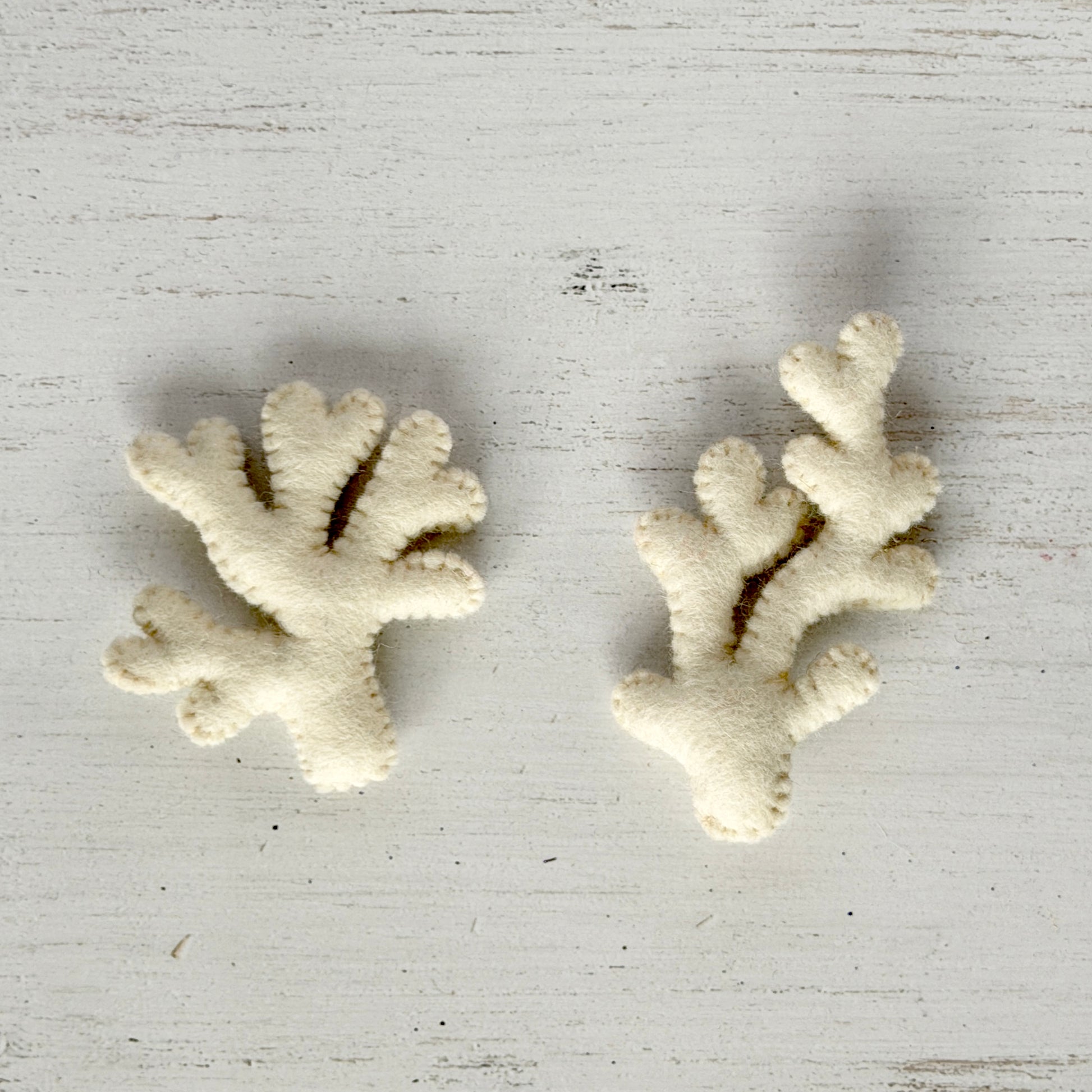 サンゴ（形はお任せ）