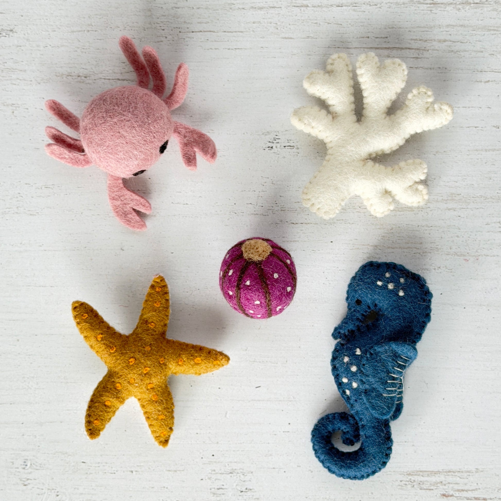 桃色のカニと仲間たちセット例