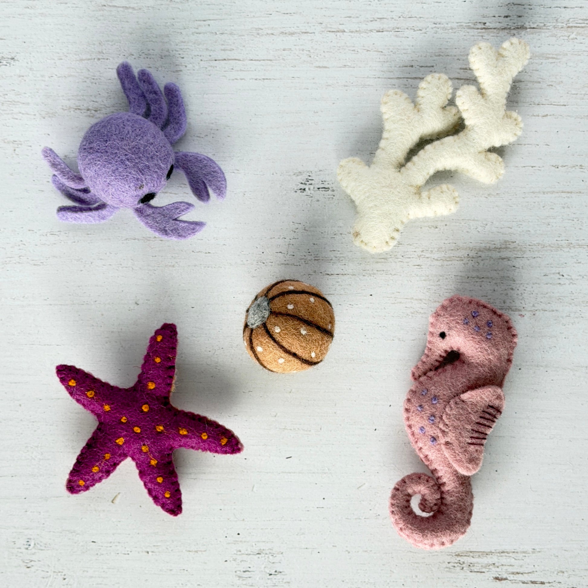 藤色のカニと仲間たちセット例