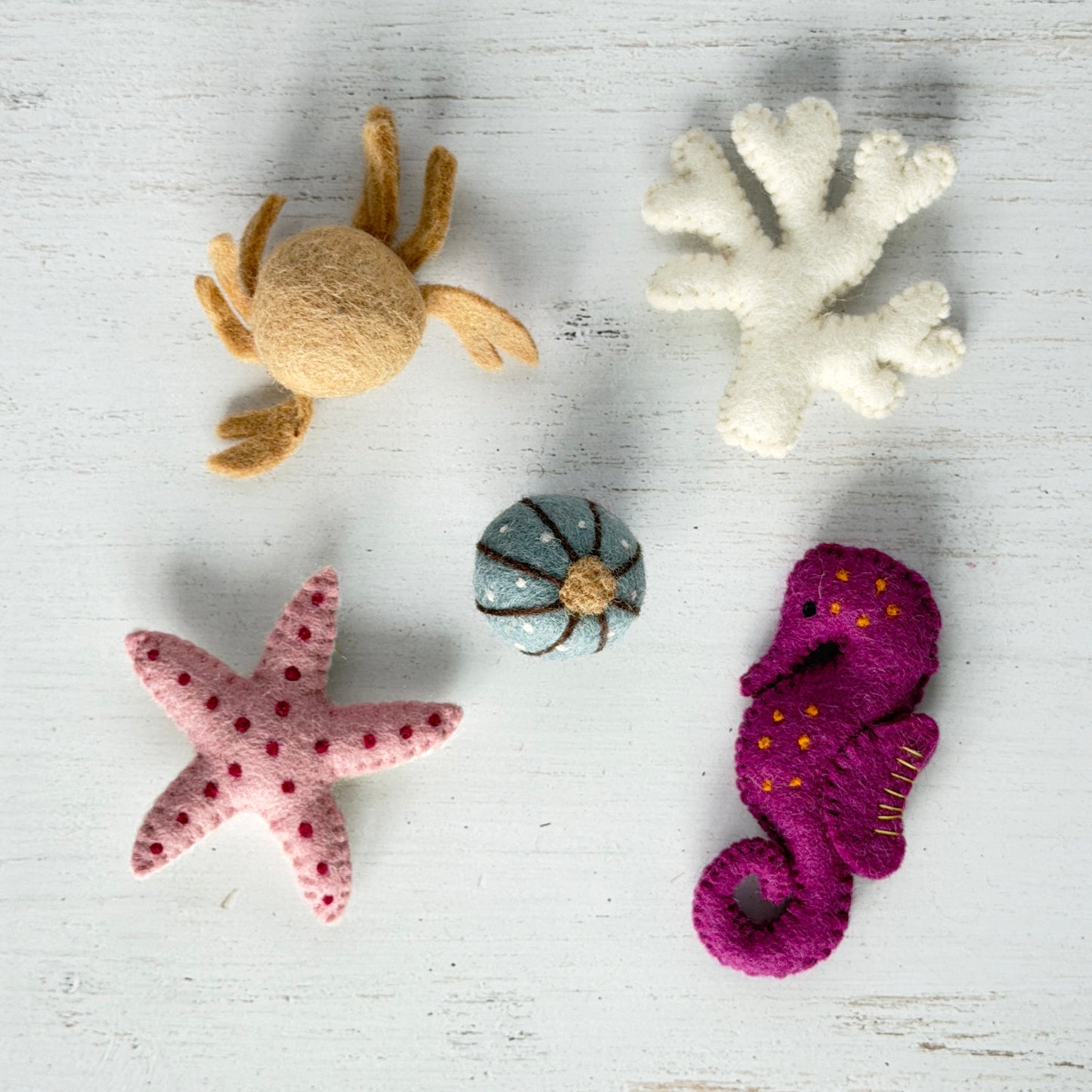 カフェオレ色のカニと仲間たちセット例