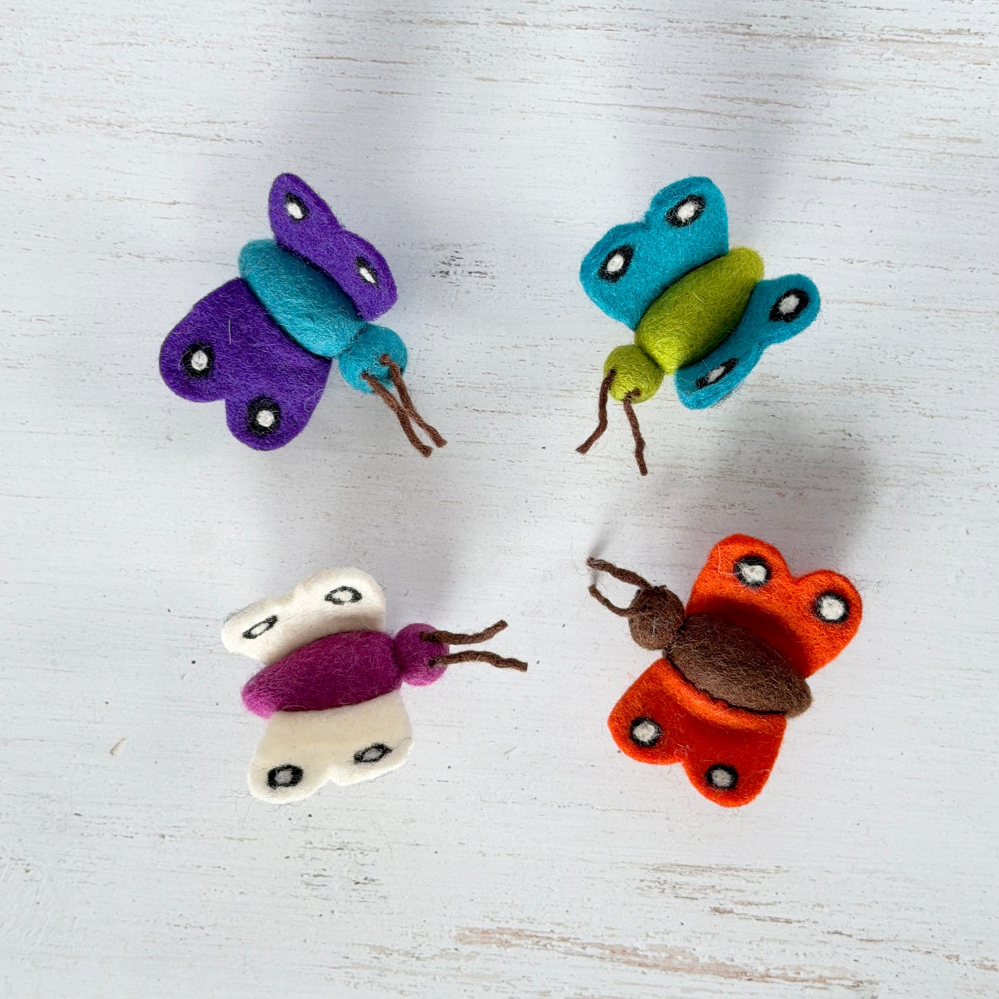 ビフォアアフターセット