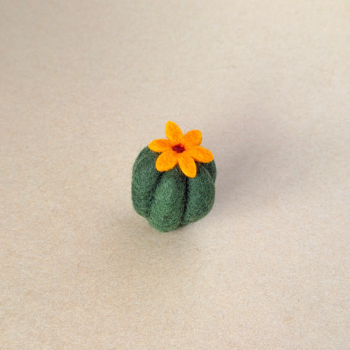 メキシコ土産 コンプリートセット