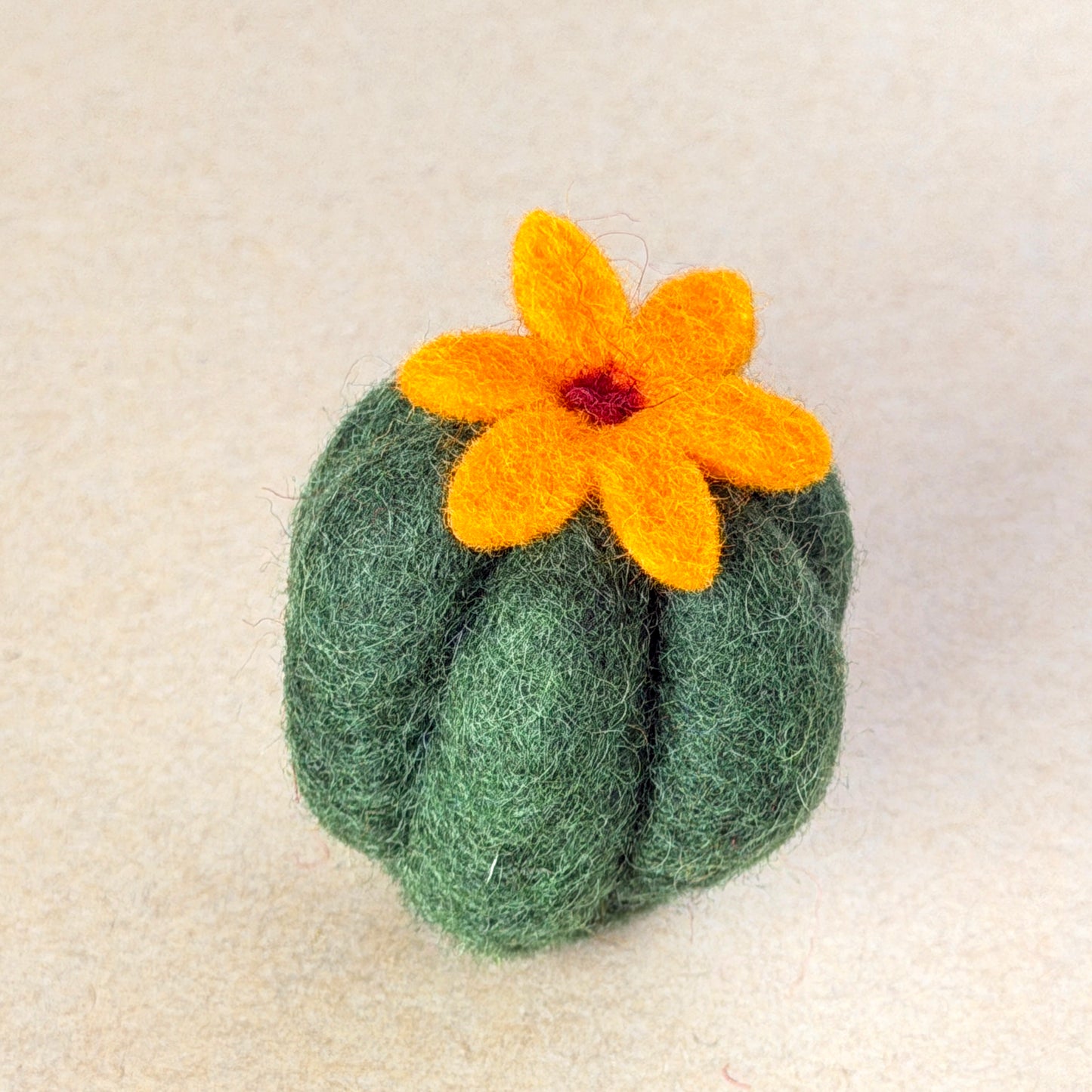 メキシコ土産 コンプリートセット