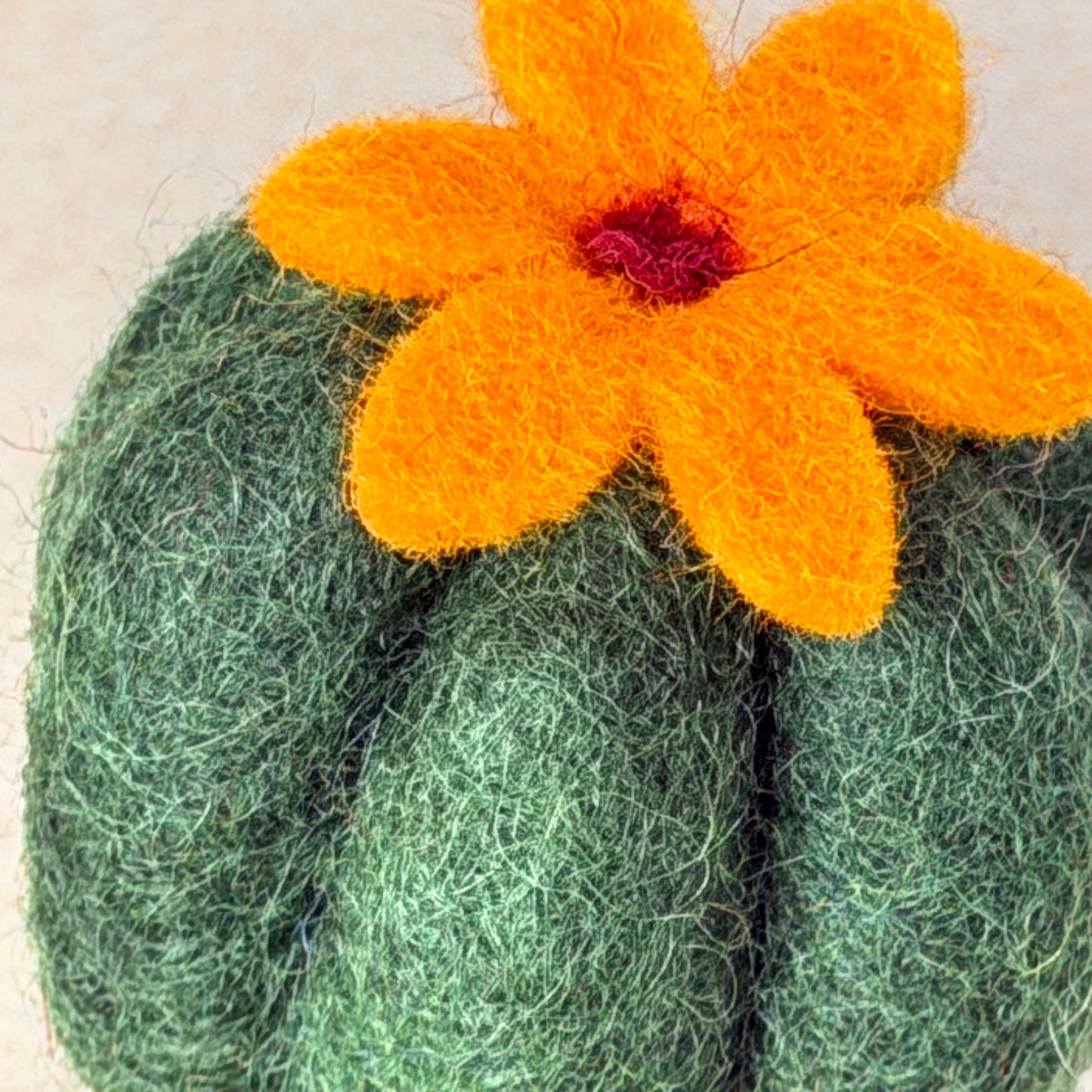 メキシコ土産セット