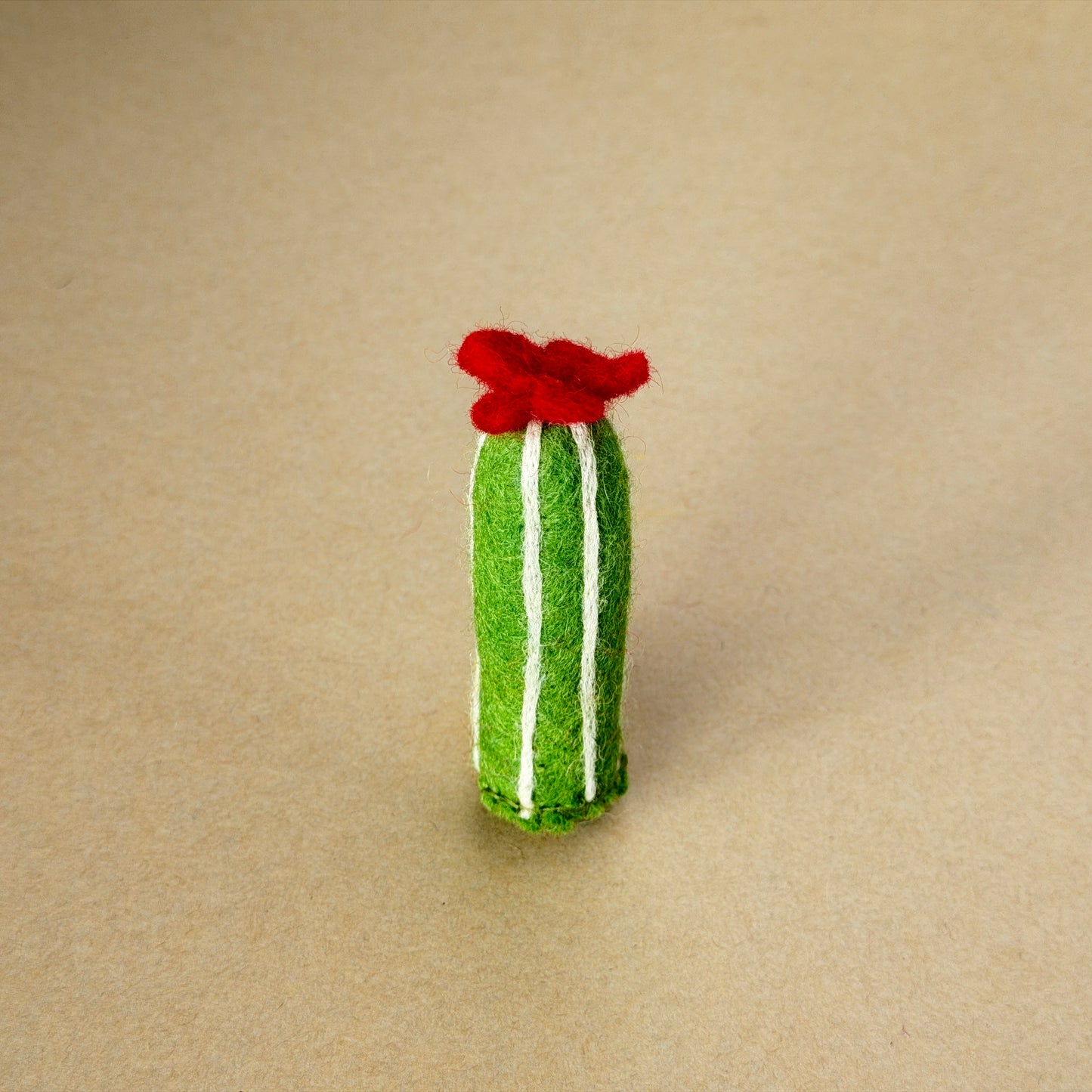 メキシコ土産セット