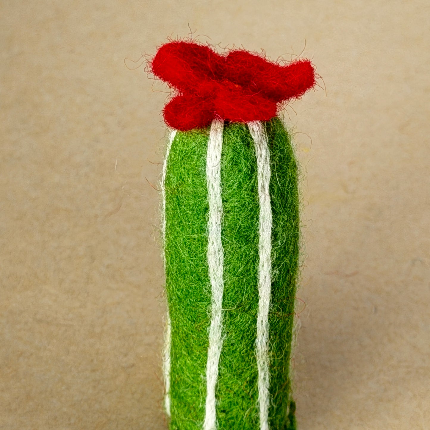 メキシコ土産セット