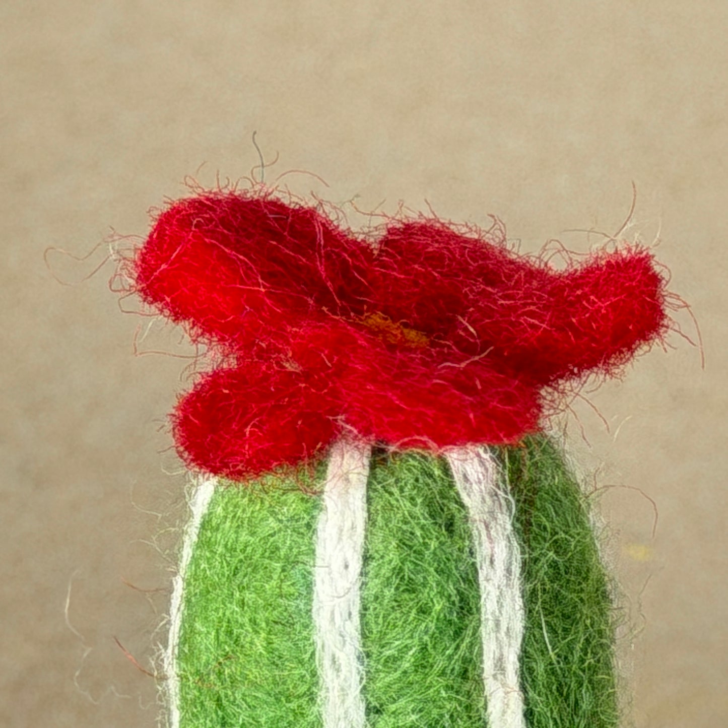 メキシコ土産 コンプリートセット