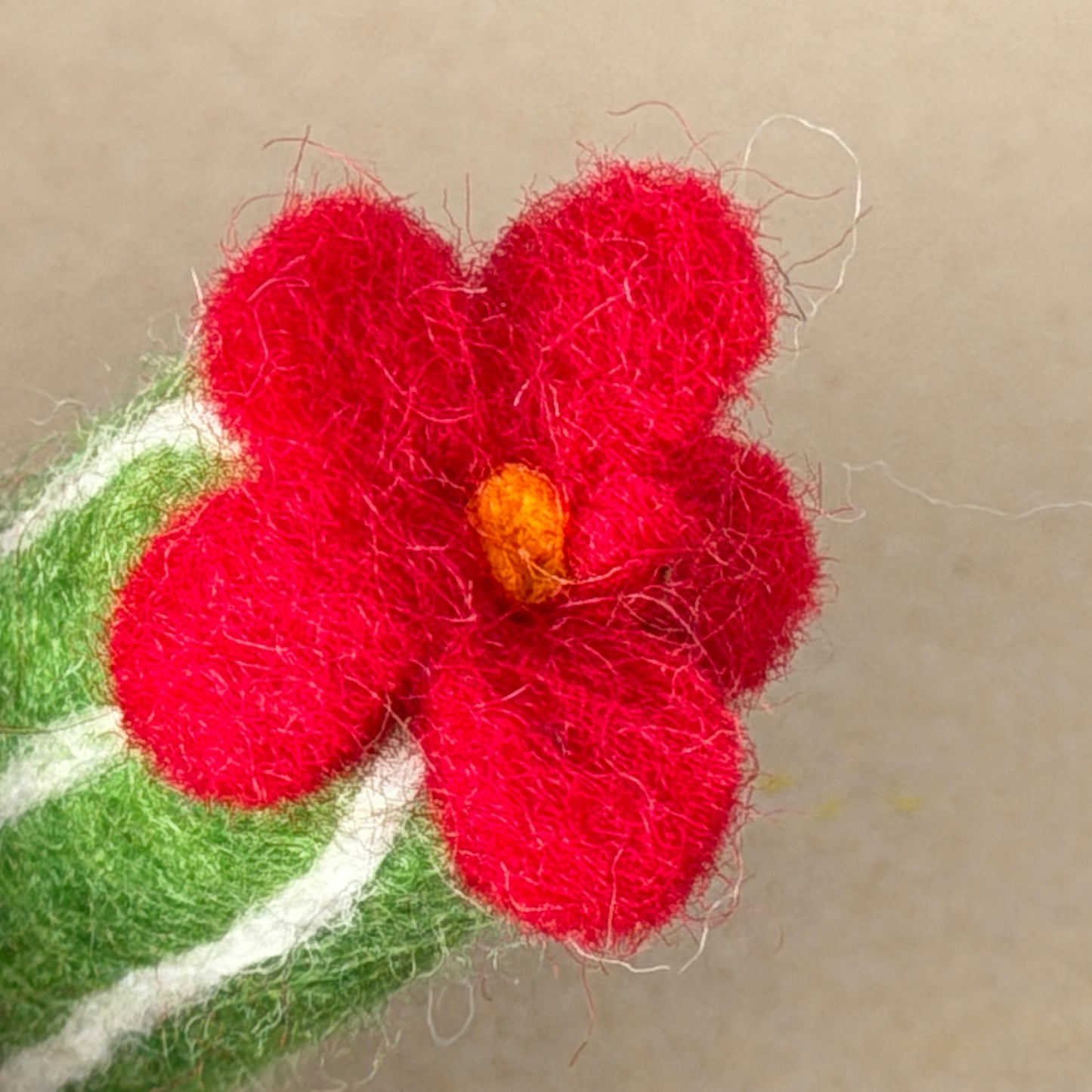 メキシコ土産 コンプリートセット