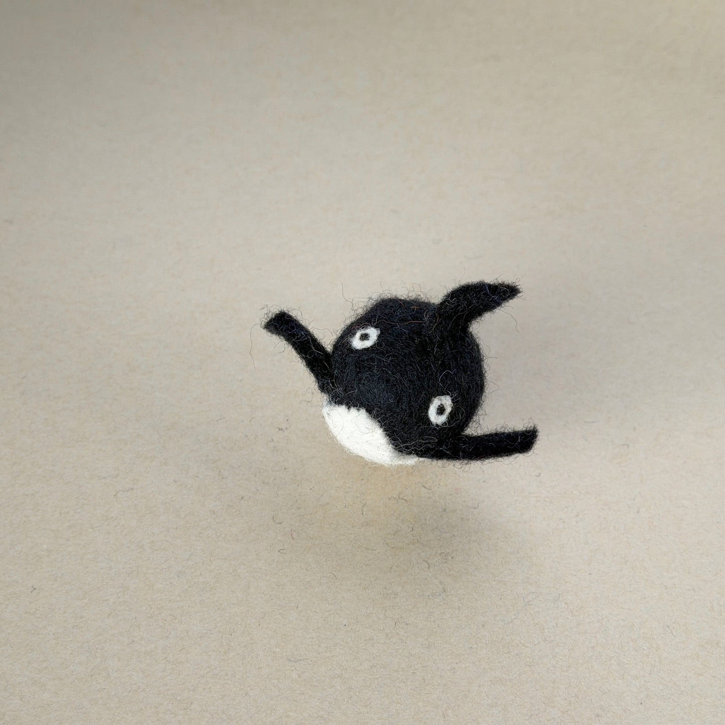 海の王様セット