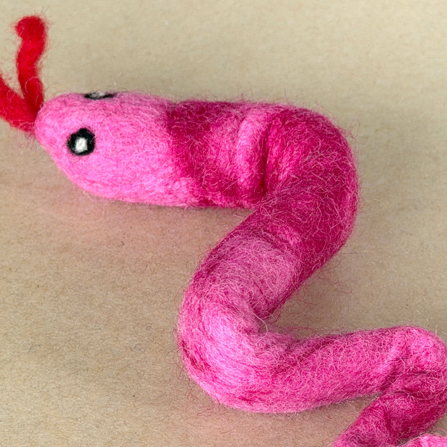 ハイビスカスピンク