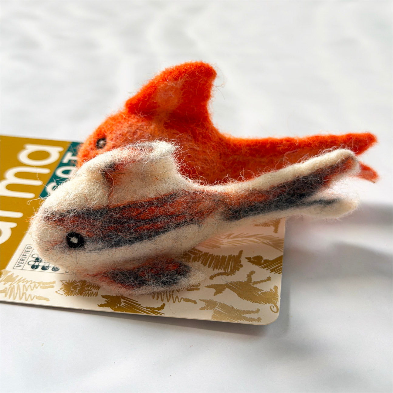 《New》金魚セット