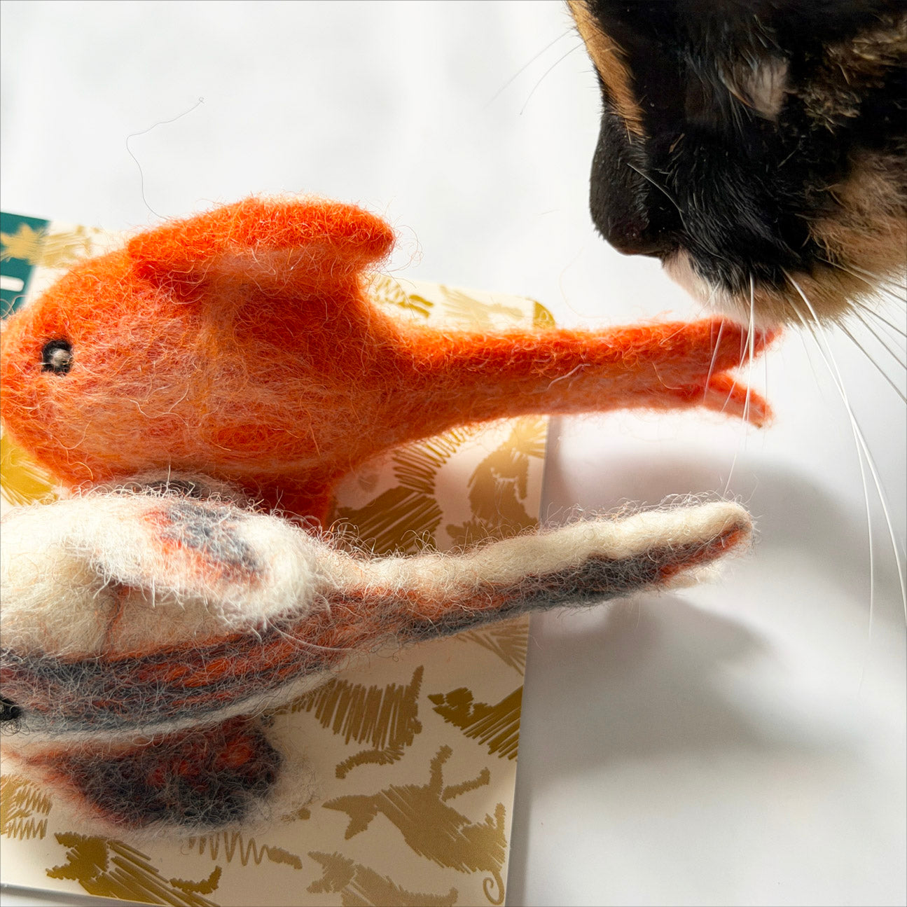 《New》金魚セット