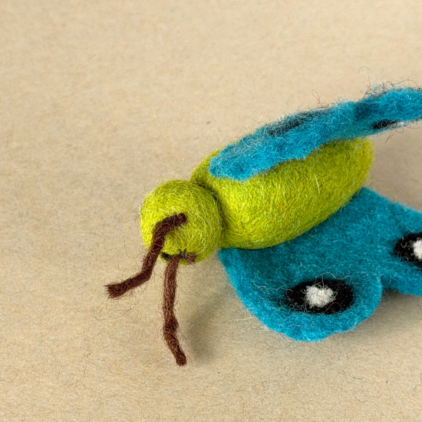 ビフォアアフターセット