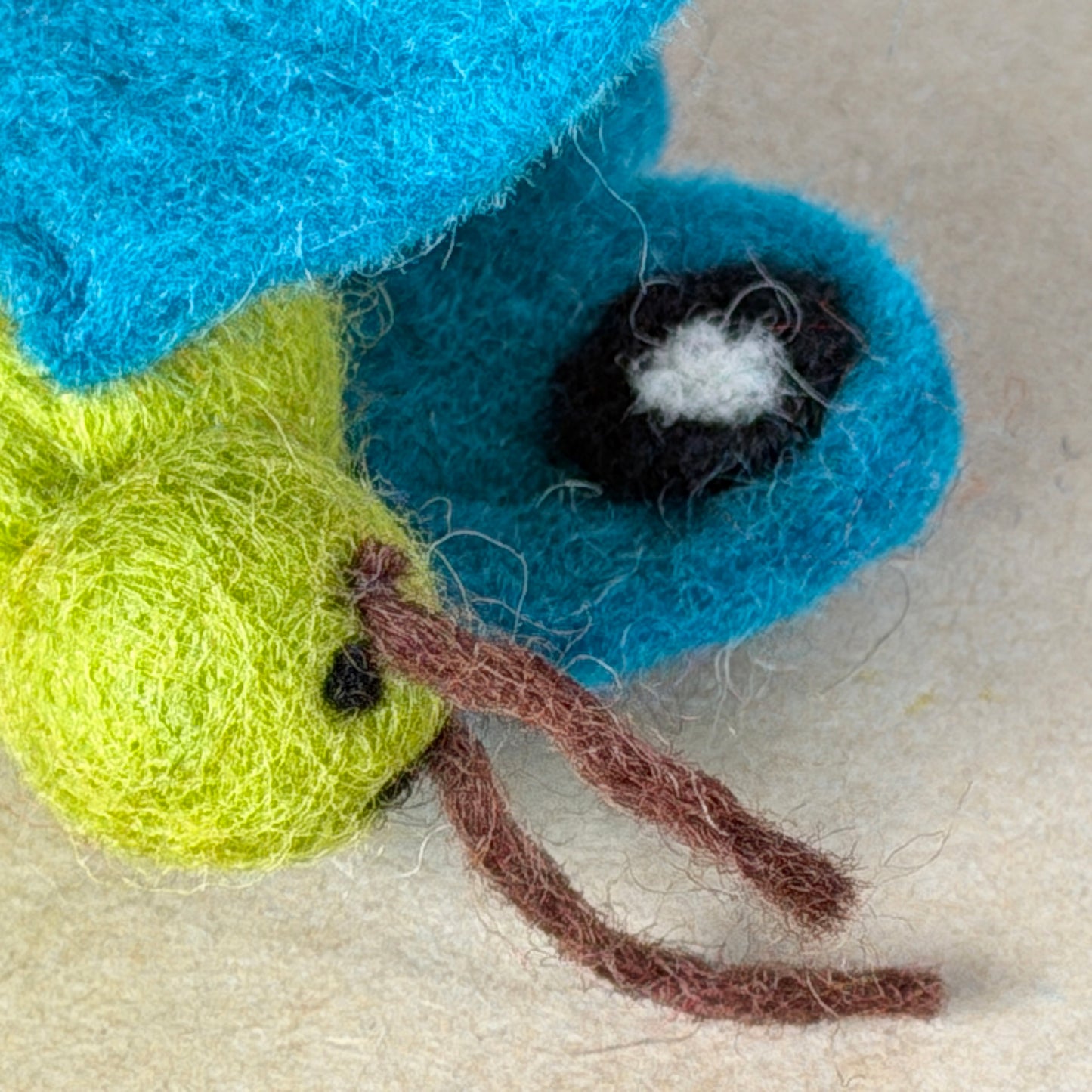 ビフォアアフターセット