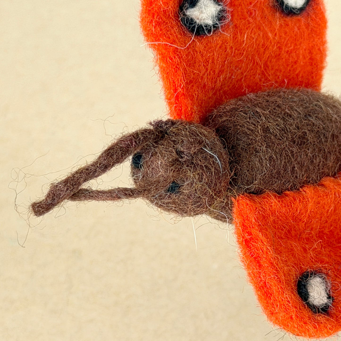 ビフォアアフターセット