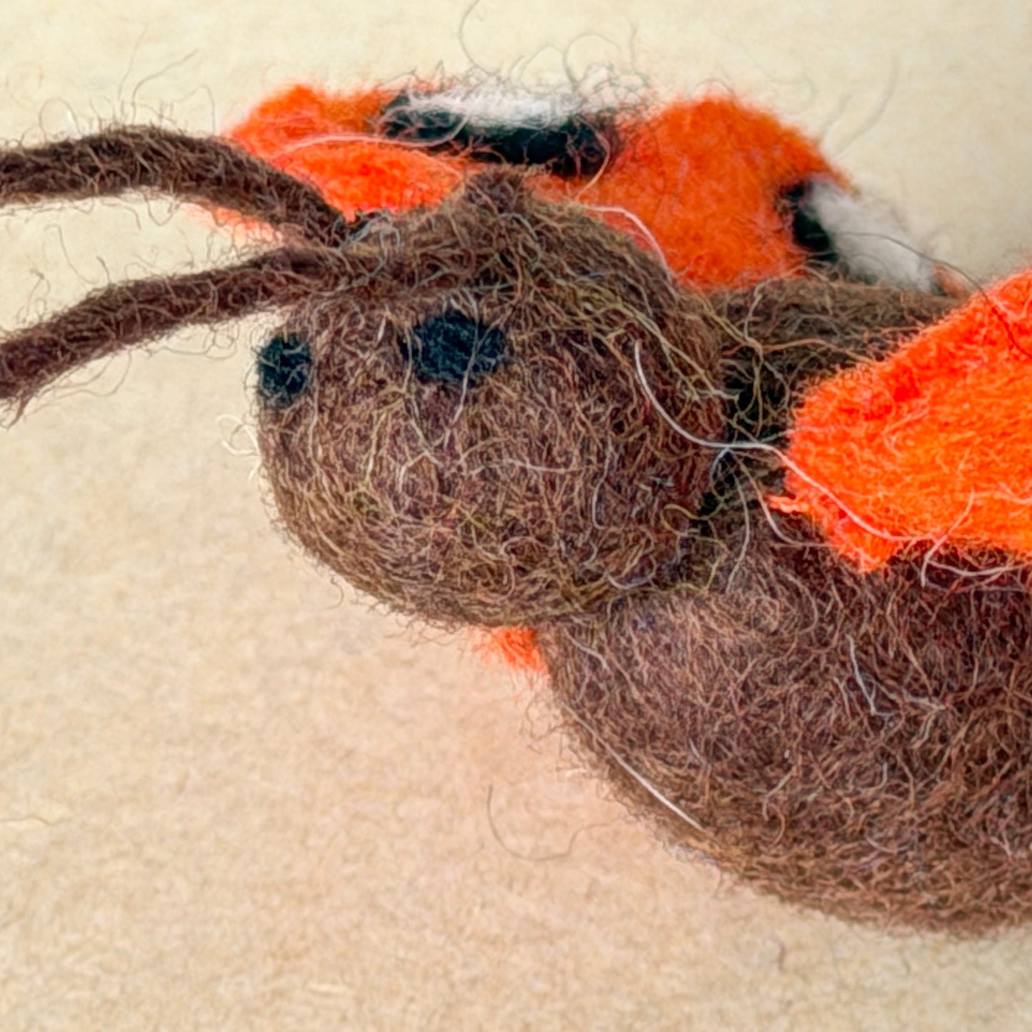 ビフォアアフターセット