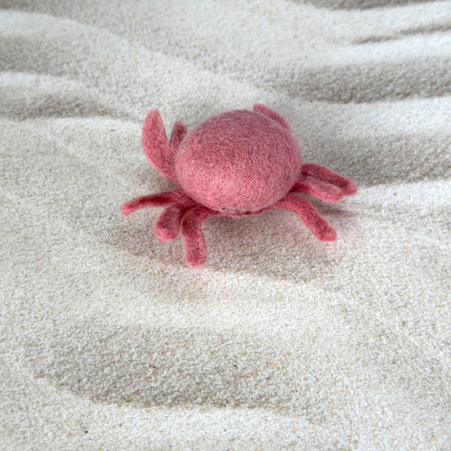 ビーチの友達セット