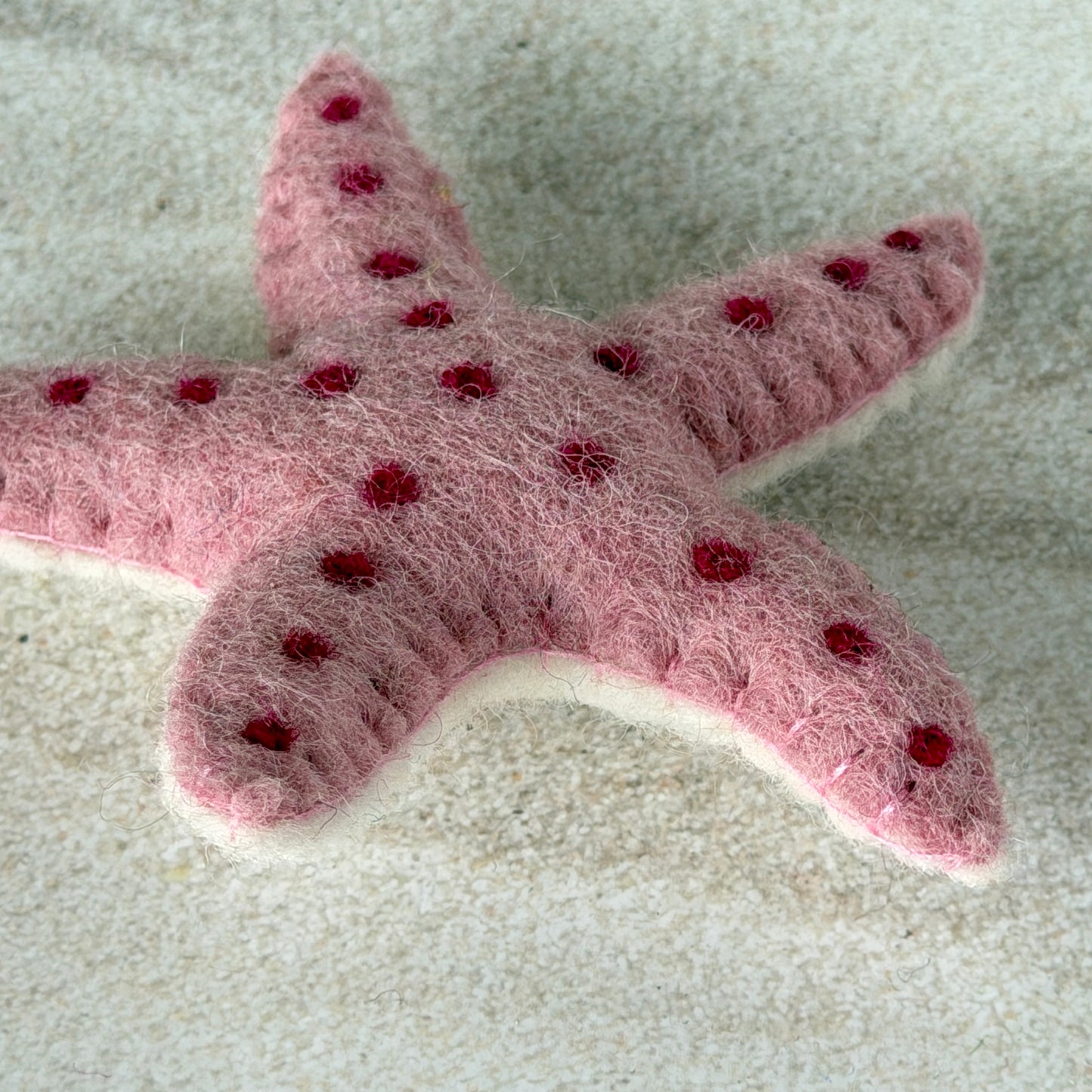 ビーチの友達セット