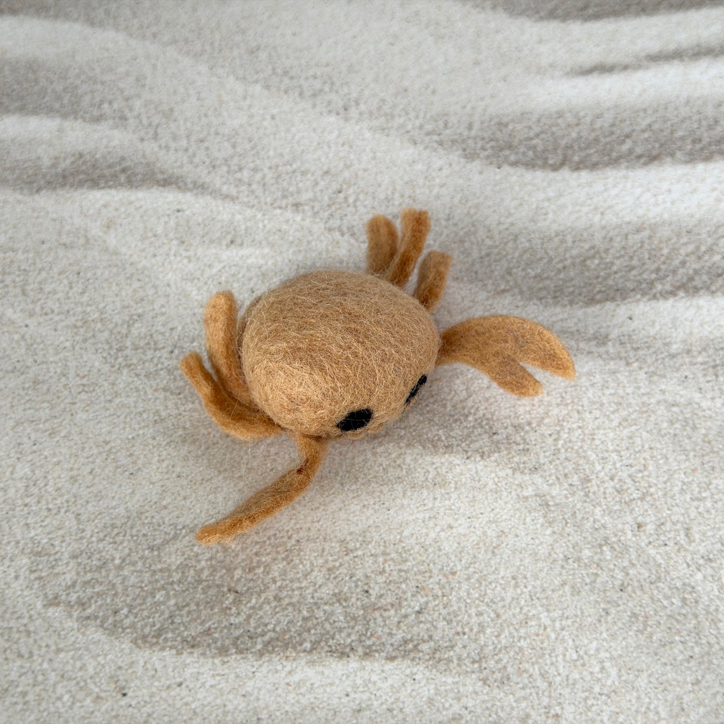 ビーチの友達セット