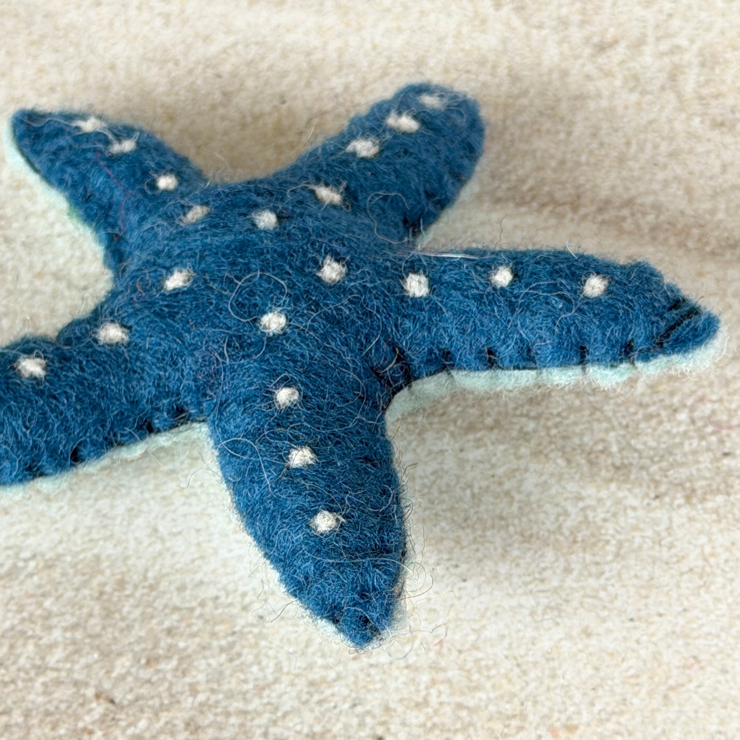 ビーチの友達セット