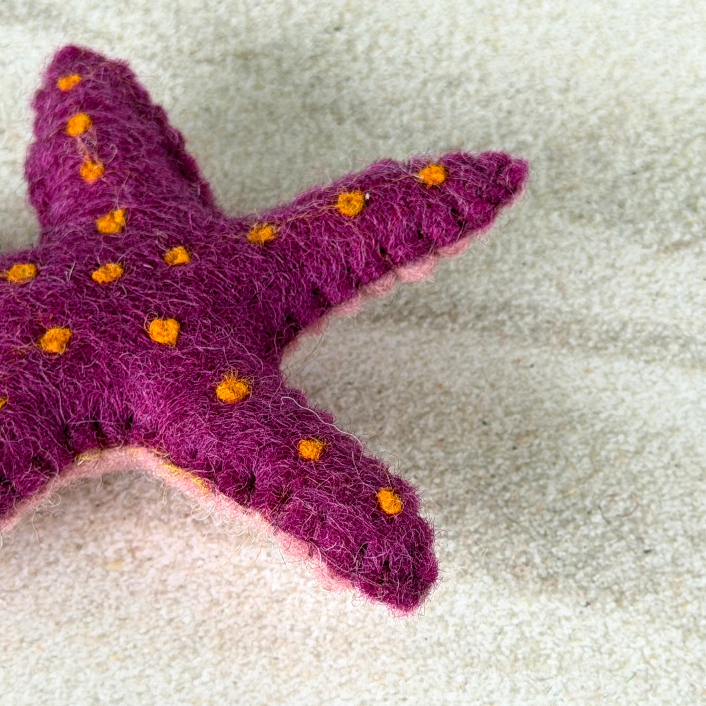 ビーチの友達セット