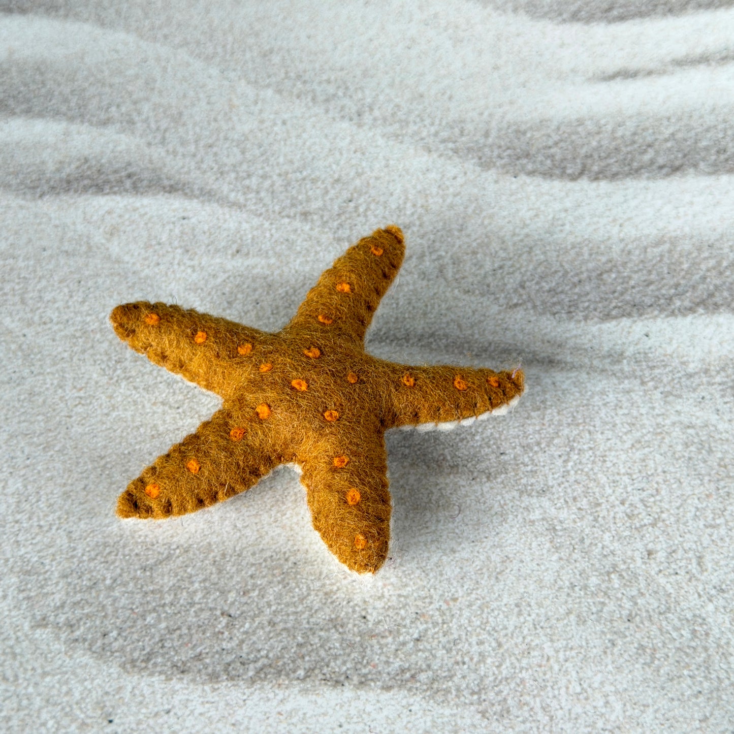 ビーチの友達セット