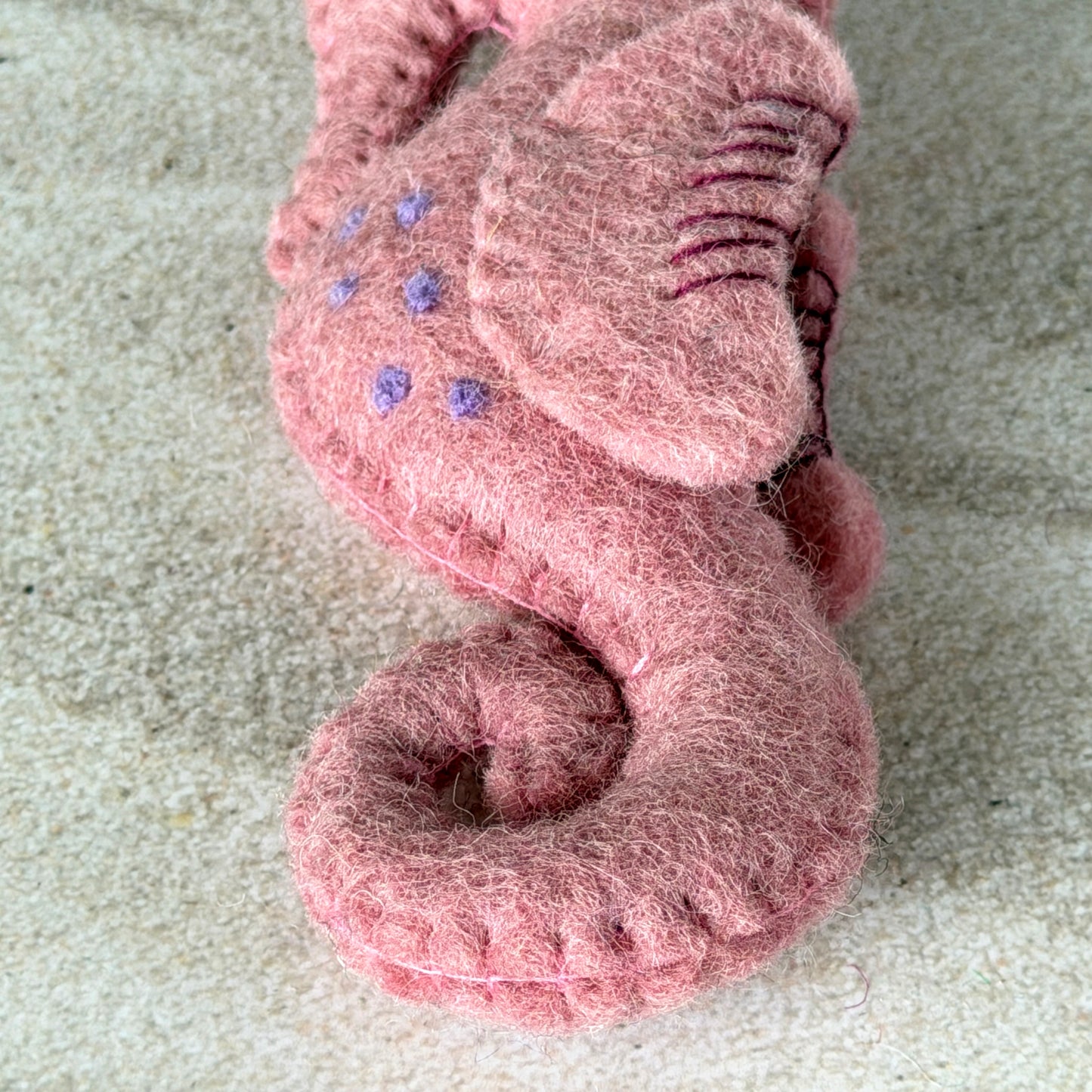 ビーチの友達セット