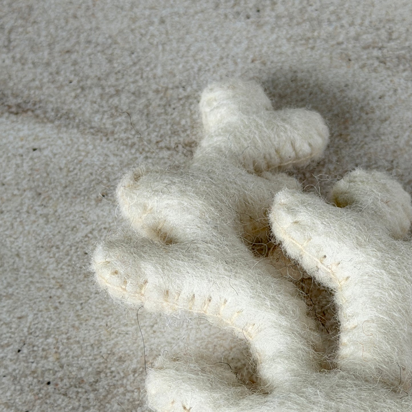 ビーチの友達セット