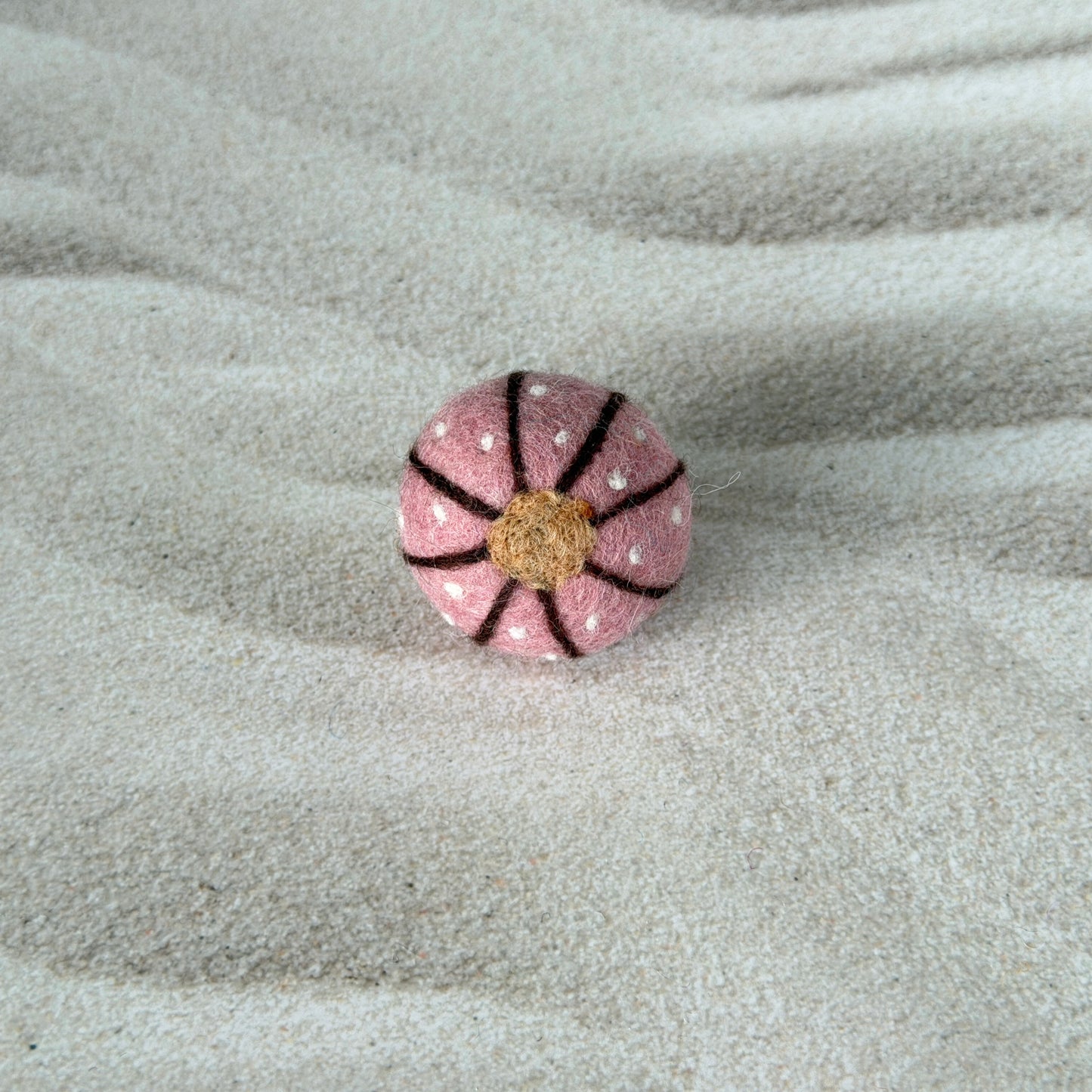 ビーチの友達セット