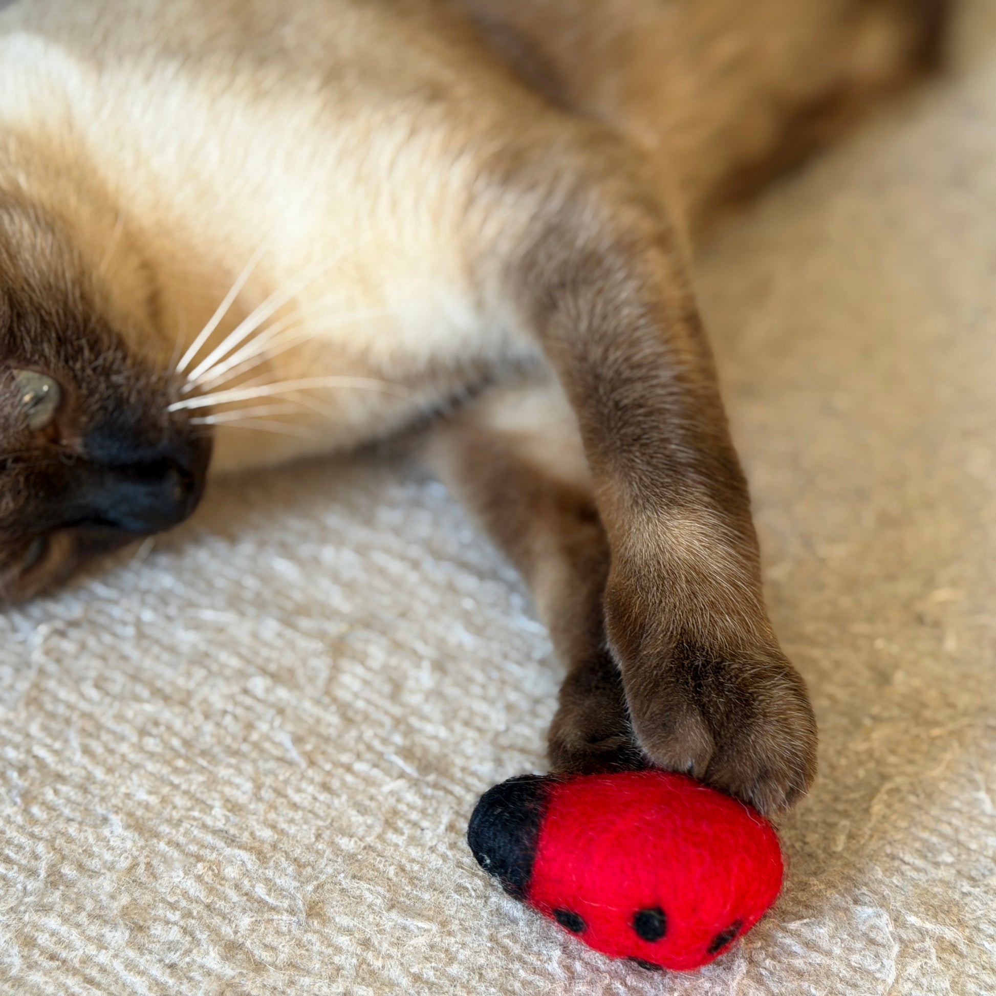 転がしやすい形とサイズ