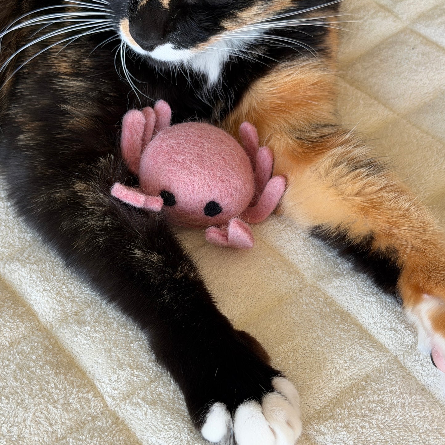 ビーチの友達セット