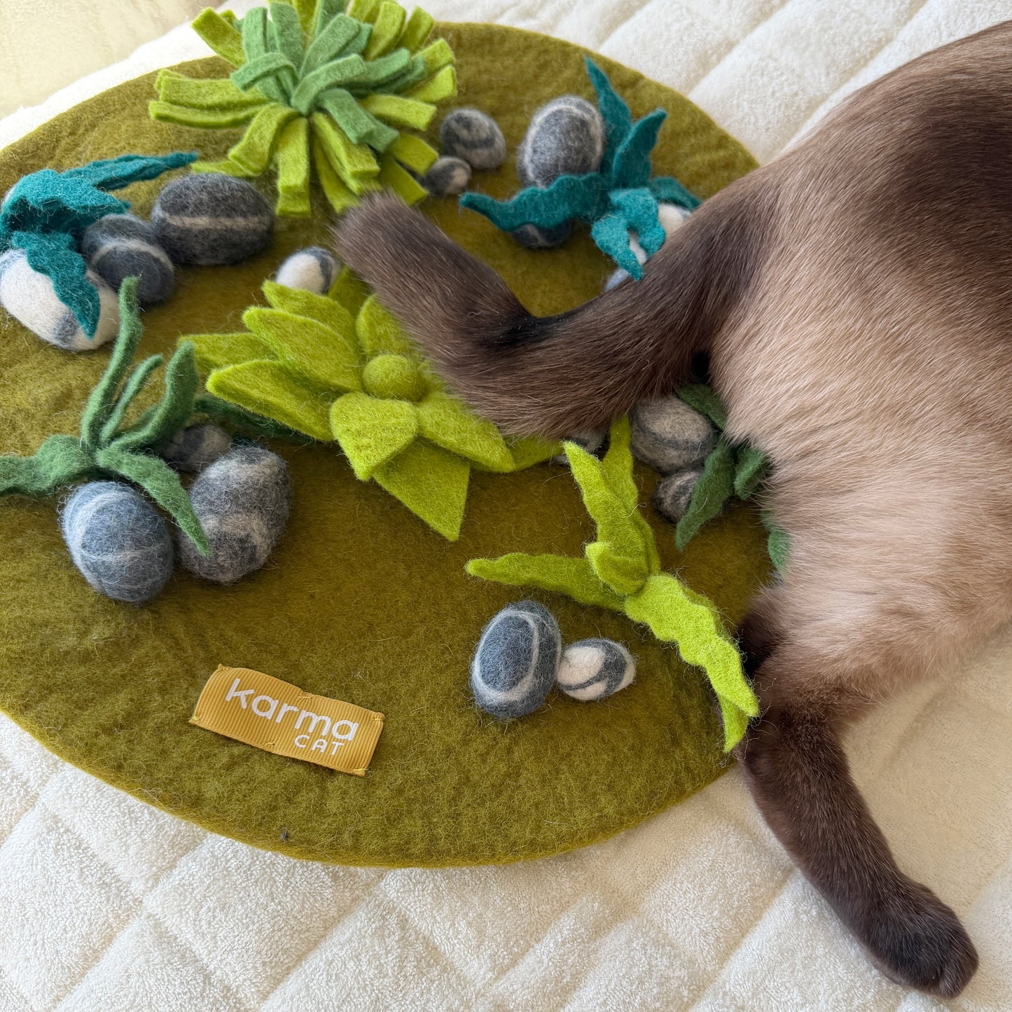 禅庭の探検マット