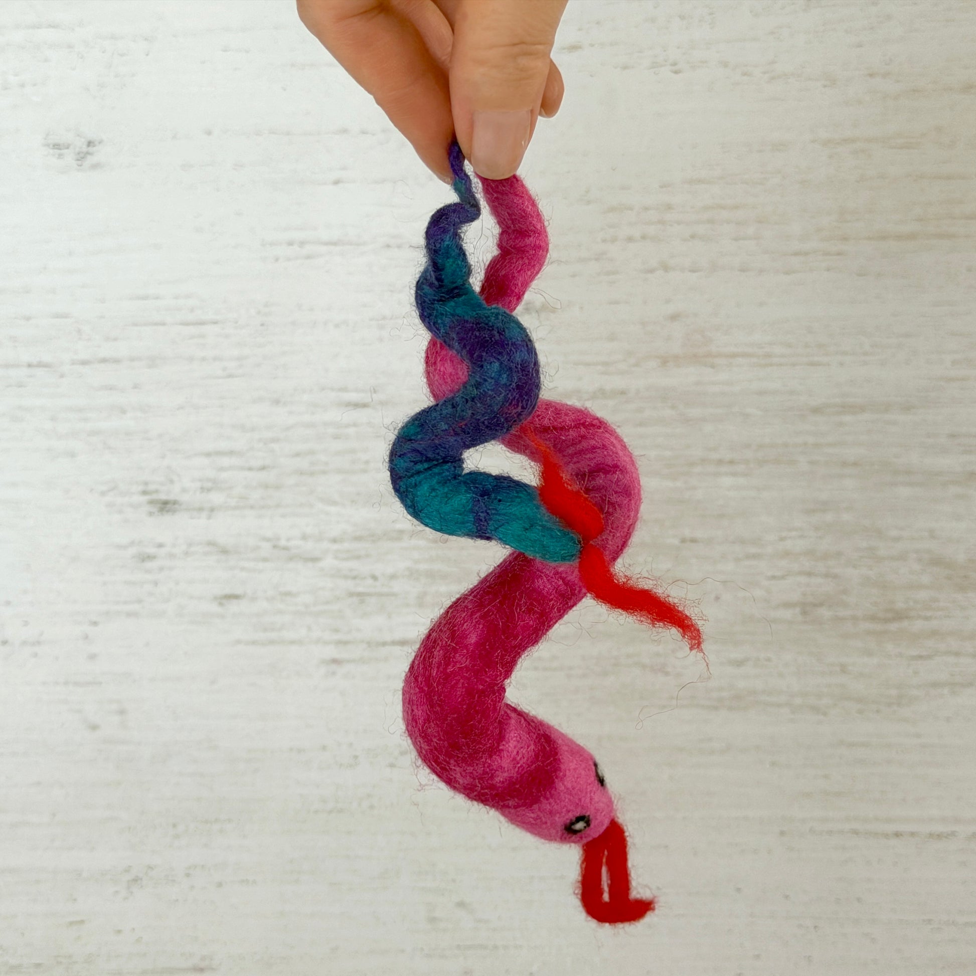 1匹ずつ販売しているヘビとの大きさ比較