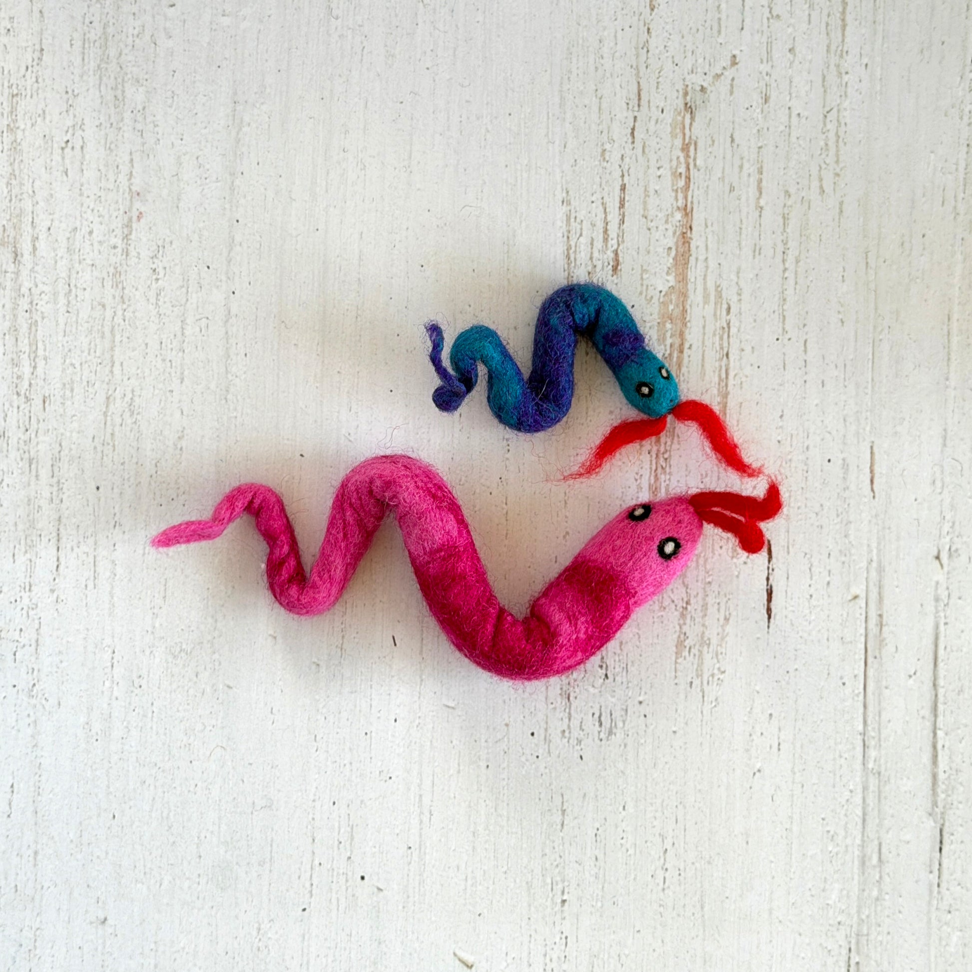 上がヘビ3兄弟のうちの1匹、下がヘビ。太さも長さもかなり違います