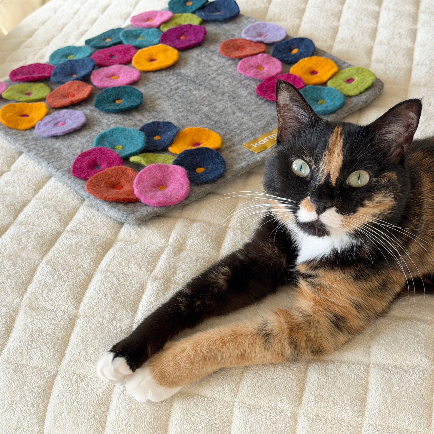 丸花の探検マット