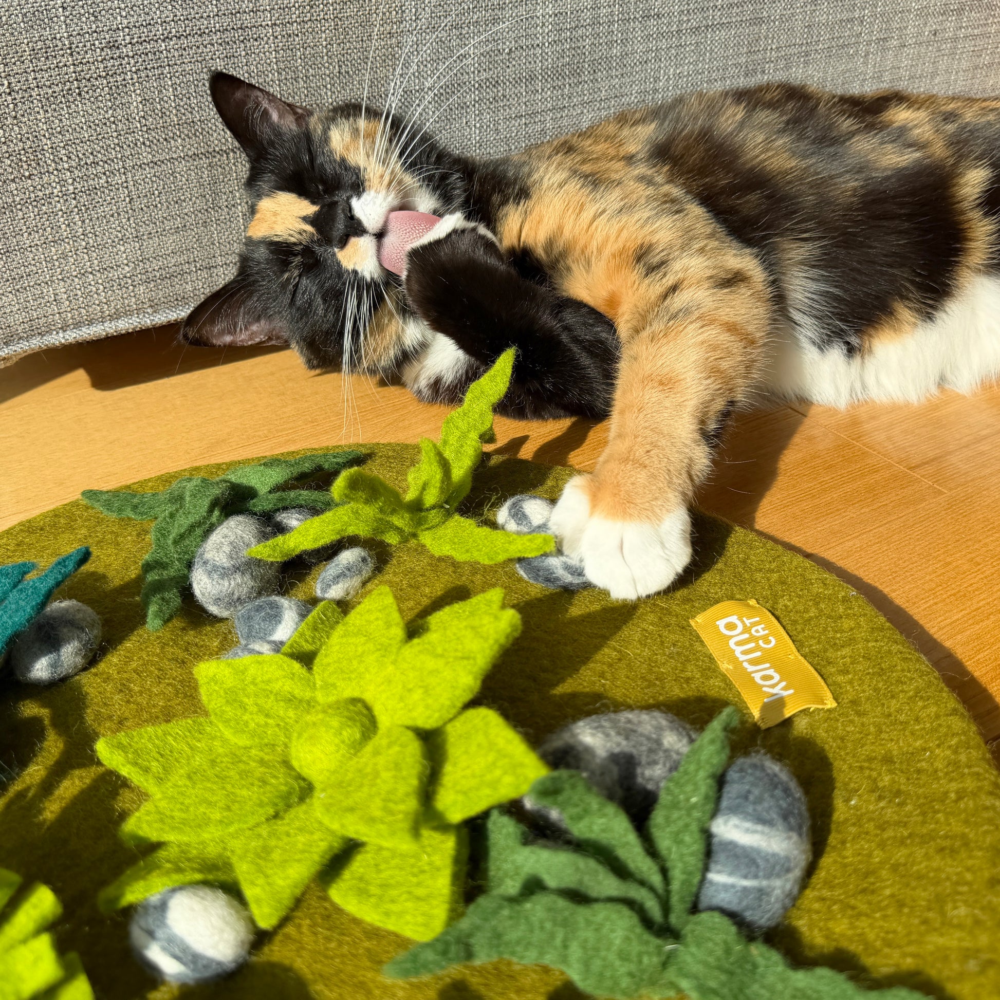 店長は探検マットをかじるのが趣味