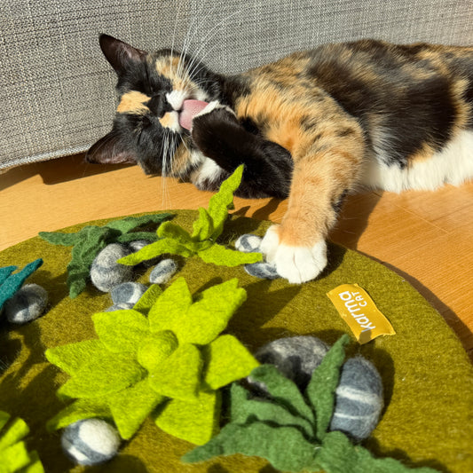 店長は探検マットをかじるのが趣味