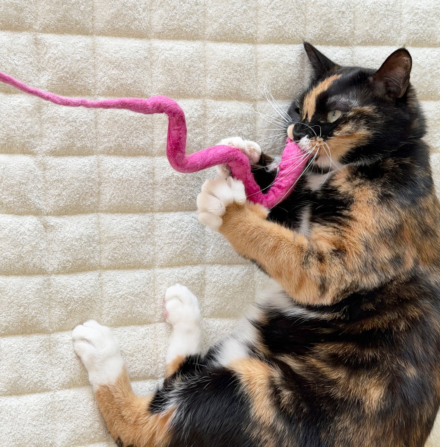 噛んでよし、蹴ってよし。本気でかじっても、ちぎれません