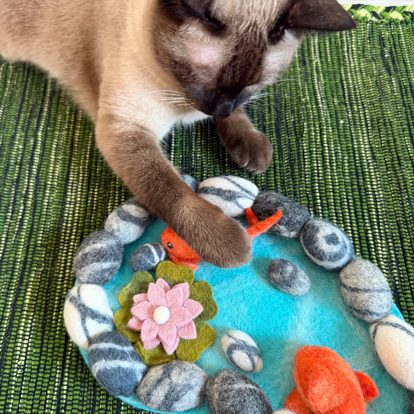 金魚すくいの季節