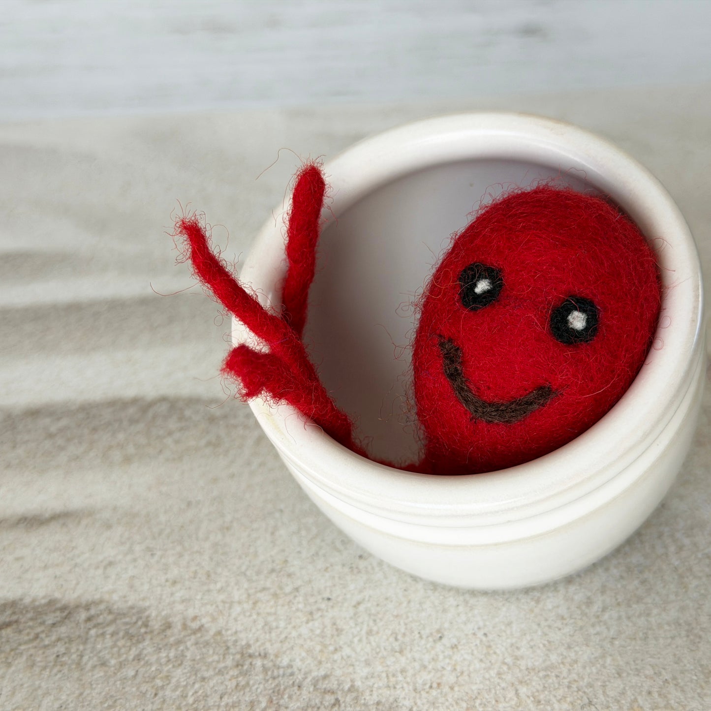 タコつぼに入ってみました