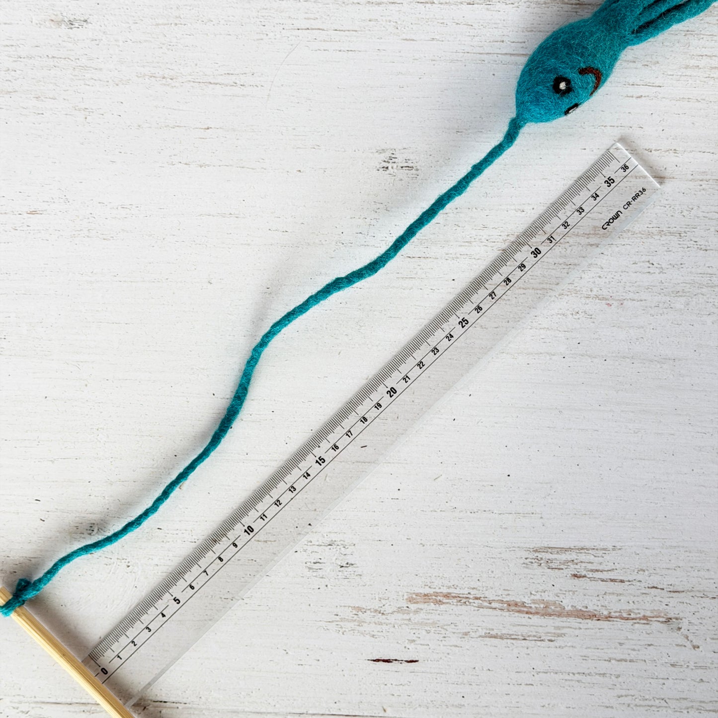 個体差があるためサイズは参考までに