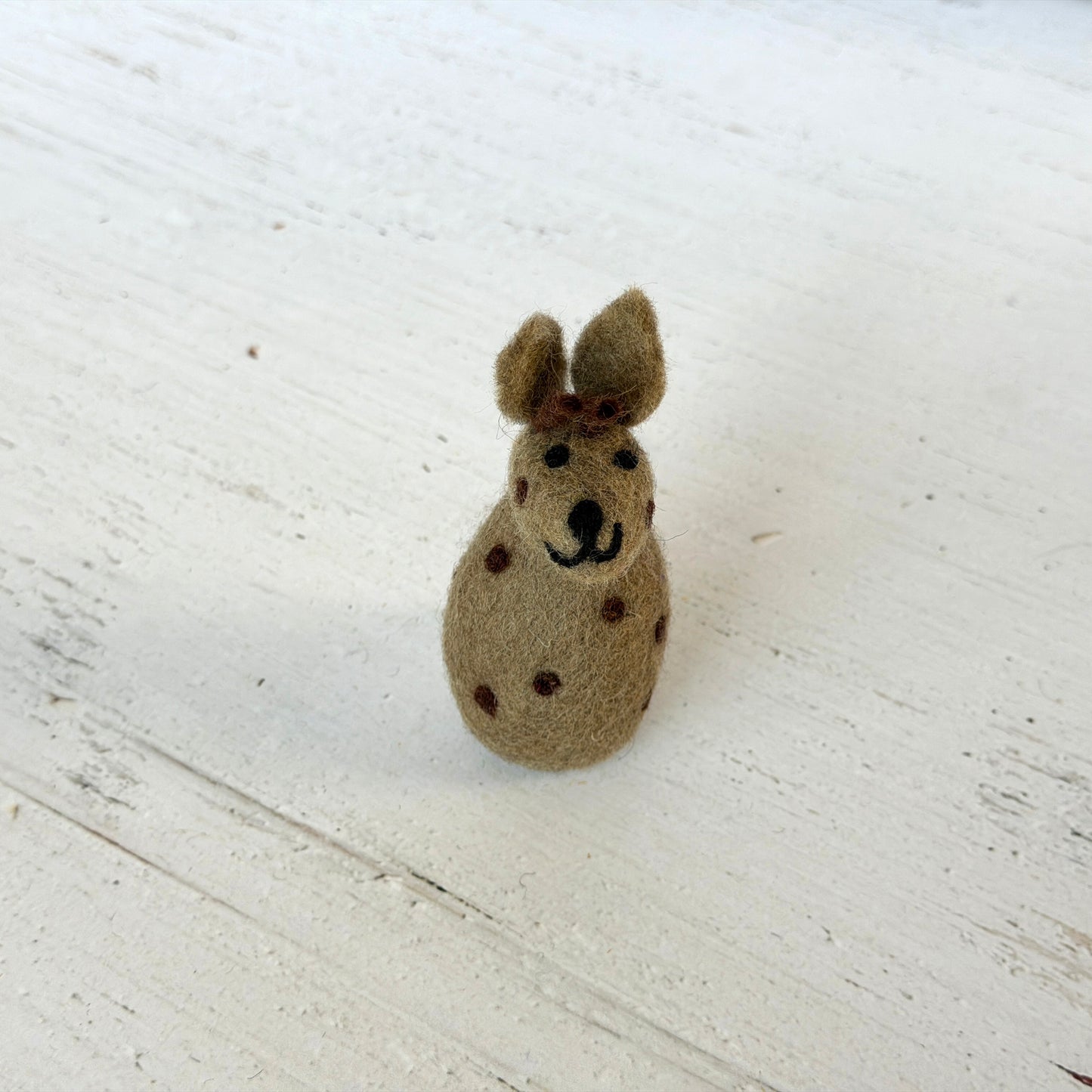 動物園 コンプリートセット