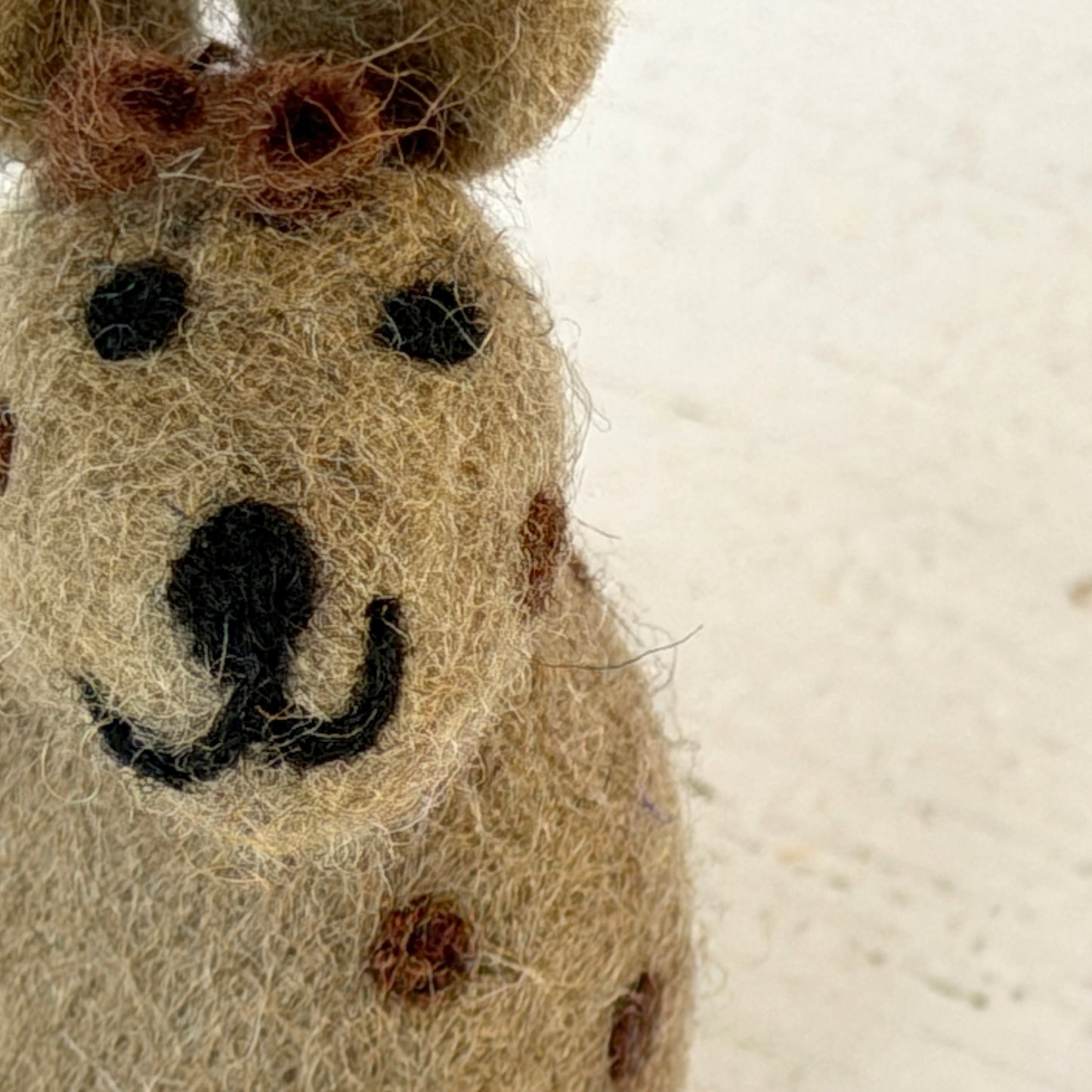 動物園 コンプリートセット