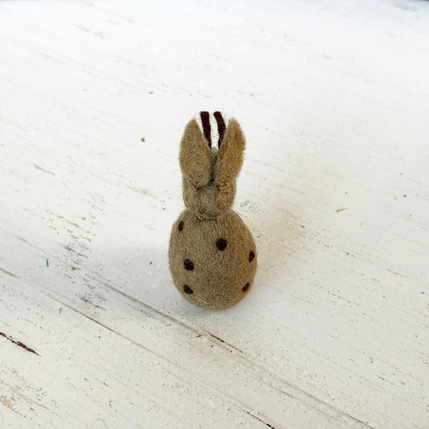 動物園 コンプリートセット