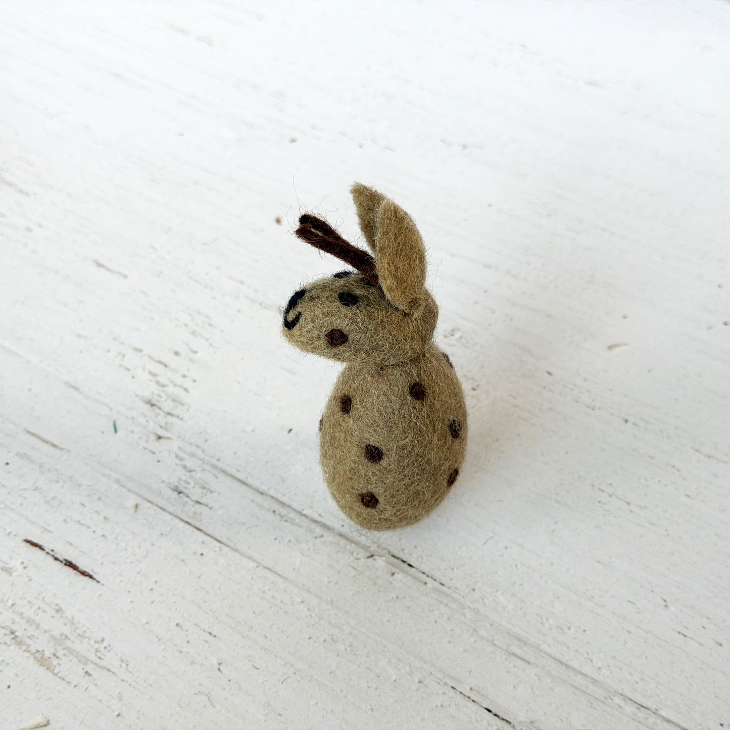 動物園 コンプリートセット