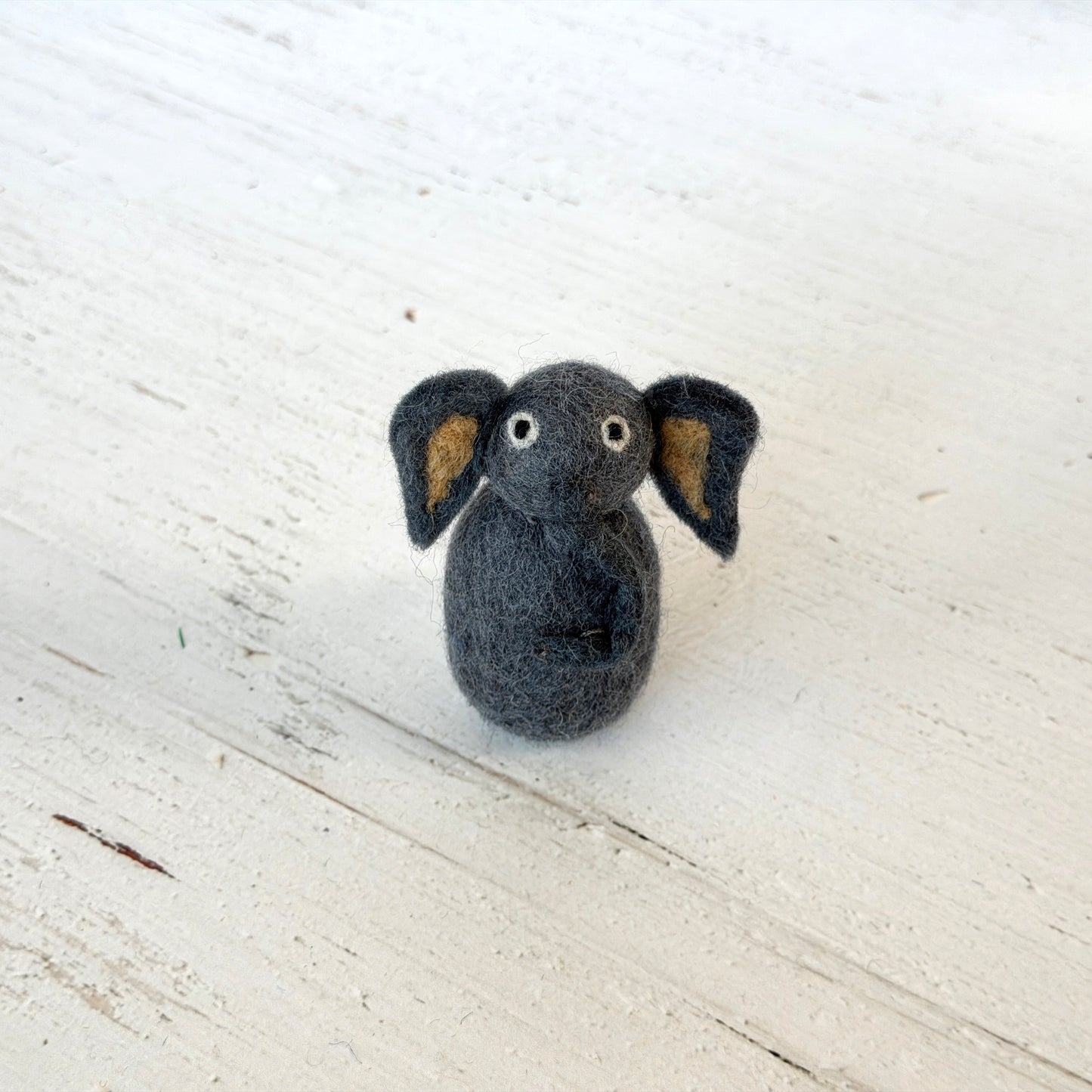 動物園 コンプリートセット